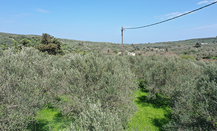 ΚΑΘΕΤΗ ΕΠΙ ΟΙΚΟΠΕΔΟΥ ΜΕ ΕΤΟΙΜΗ ΑΔΕΙΑ