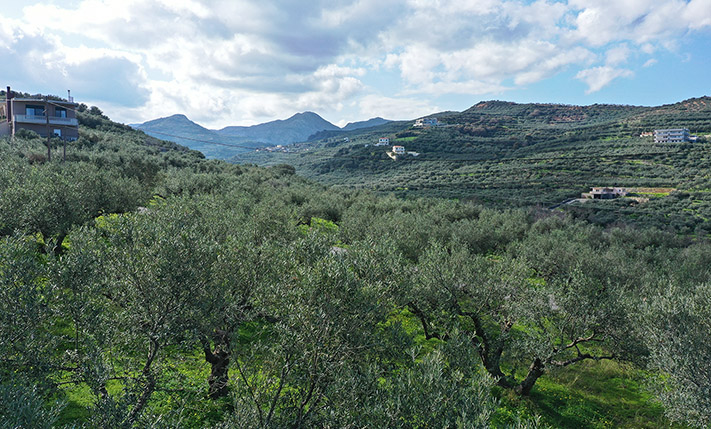 PART OF A LARGER PARCEL FOR DEVELOPMENT