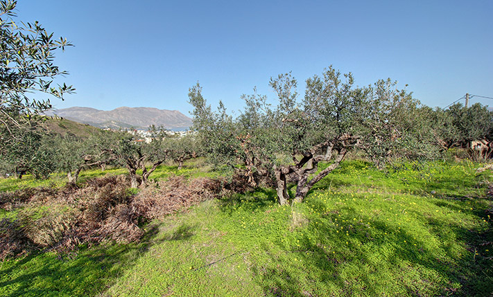 PART OF A LARGER PARCEL FOR DEVELOPMENT