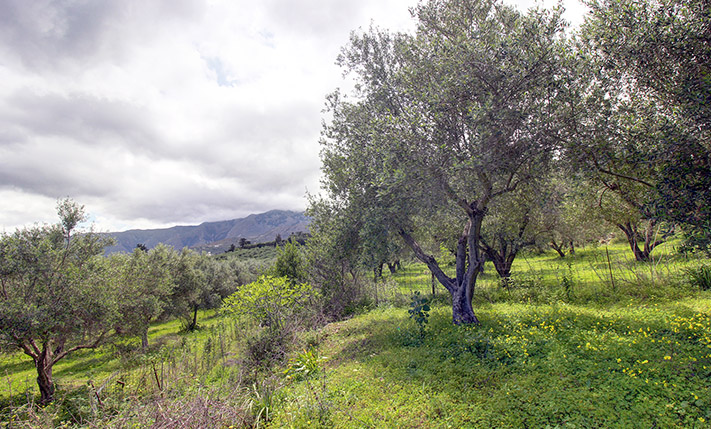 ΚΟΝΤΑ ΣΤΗ ΛΙΜΝΗ ΚΟΥΡΝΑ ΜΕ ΘΕΑ ΑΠΟ ΤΟΝ ΟΡΟΦΟ