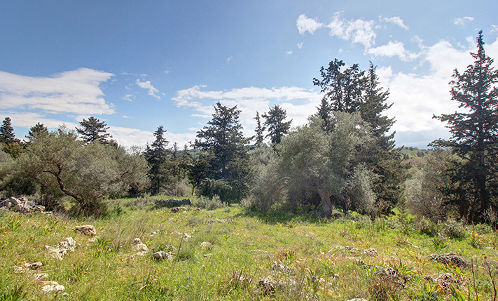 ΕΝΑ ΞΕΦΩΤΟ ΣΤΗ ΦΥΣΗ ΚΑΤΩ ΑΠΟ ΤΑ ΛΕΥΚΑ ΟΡΗ