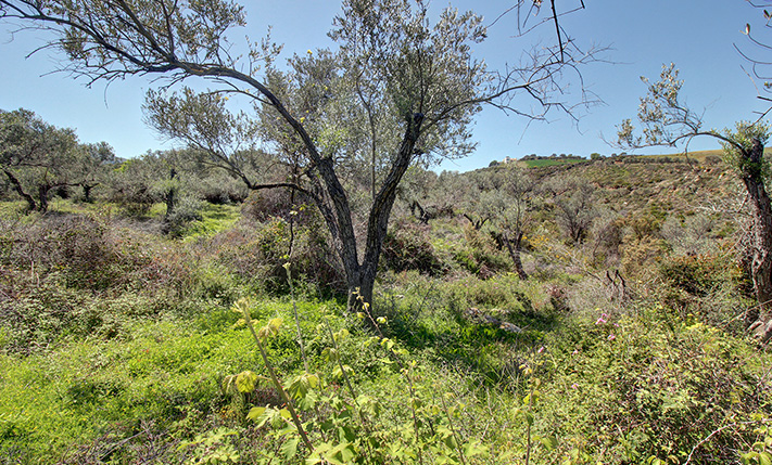 SOUTH & AT THE OUTSKIRTS OF RETHIMNON CITY