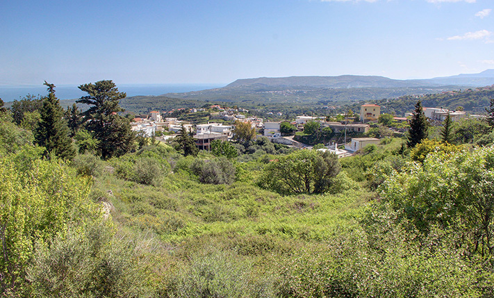 A LUSH PLOT NEAR KOURNAS VILLAGE