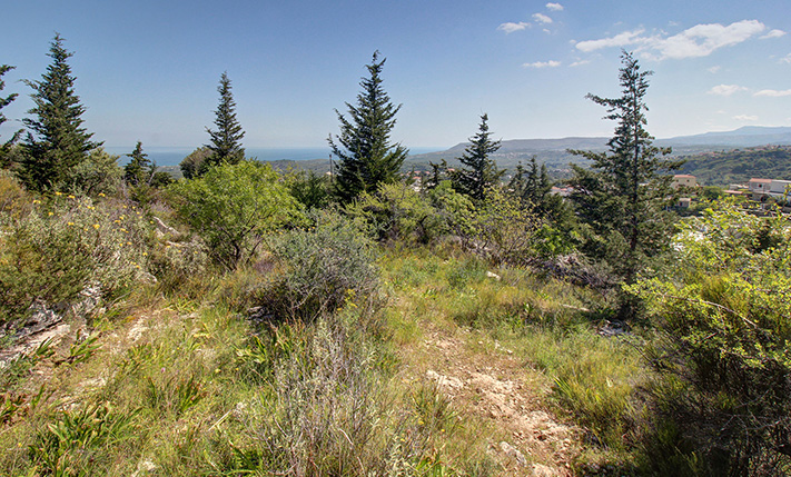 A LUSH PLOT NEAR KOURNAS VILLAGE
