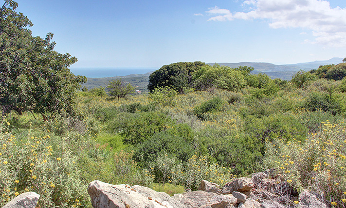 DRAMATIC VIEWS FROM A LUXURIOUS PLOT