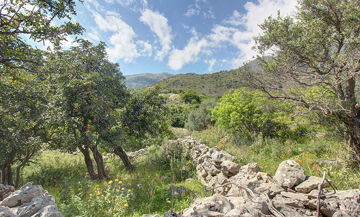 DRAMATIC VIEWS FROM A LUXURIOUS PLOT