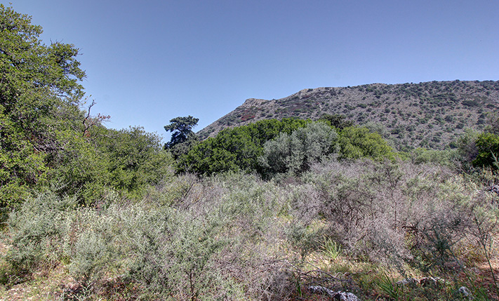 ΕΠΙΠΕΔΟ ΜΕ ΦΥΣΙΚΗ ΒΛΑΣΤΗΣΗ ΣΤΗΝ ΥΠΑΙΘΡΟ