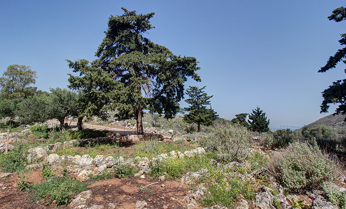 ΑΝΑΠΤΥΞΙΑΚΟ ΟΙΚΟΠΕΔΟ ΜΕ ΠΑΛΑΙΟ ΚΤΙΣΜΑ