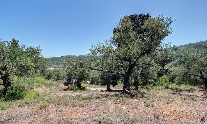 ΟΨΕΙΣ ΔΥΤΙΚΑ & ΑΝΑΤΟΛΙΚΑ, ΕΞΩ ΑΠΟ ΤΙΣ ΒΟΥΚΟΛΙΕΣ
