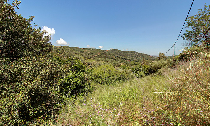 ΟΙΚΟΠΕΔΟ ΜΕ ΘΕΑ ΣΕ ΜΙΑ ΚΑΤΑΦΥΤΗ ΚΟΙΛΑΔΑ