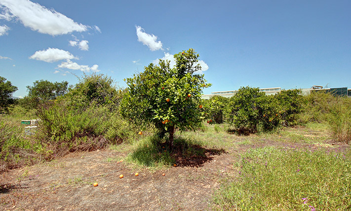 FLAT RECTANGULAR PLOT NEAR THE CITY