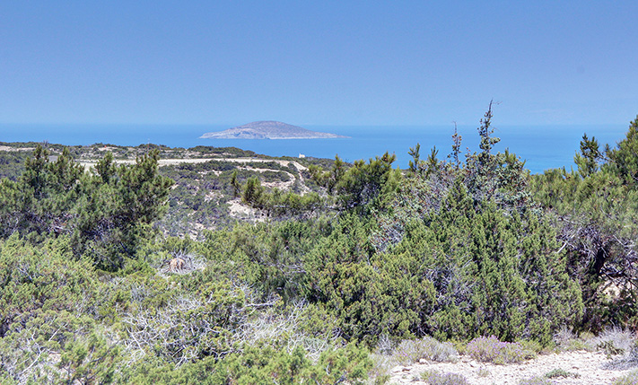 ΑΠΟΛΥΤΗ ΗΡΕΜΙΑ ΣΤΟ ΒΟΡΕΙΑ ΤΜΗΜΑ ΤΗΣ ΓΑΥΔΟΥ