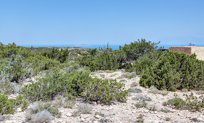 ΑΠΟΛΥΤΗ ΗΡΕΜΙΑ ΣΤΟ ΒΟΡΕΙΑ ΤΜΗΜΑ ΤΗΣ ΓΑΥΔΟΥ