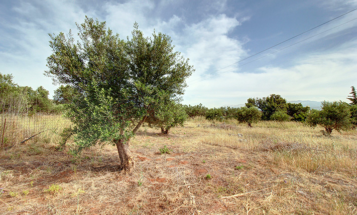 FENCED & EASY TO MAINTAIN