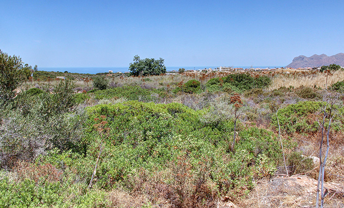 ΑΡΙΣΤΟ ΓΙΑ ΟΙΚΙΣΤΙΚΗ ΑΝΑΠΤΥΞΗ ΣΕ ΚΕΝΤΡΙΚΗ ΘΕΣΗ