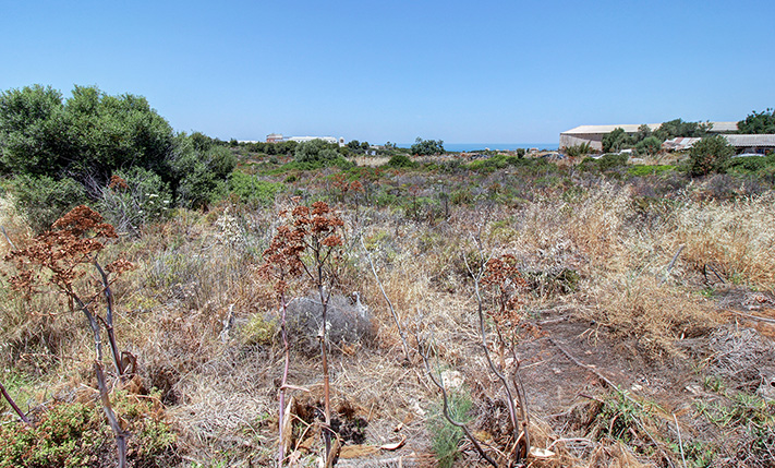 ΑΡΙΣΤΟ ΓΙΑ ΟΙΚΙΣΤΙΚΗ ΑΝΑΠΤΥΞΗ ΣΕ ΚΕΝΤΡΙΚΗ ΘΕΣΗ