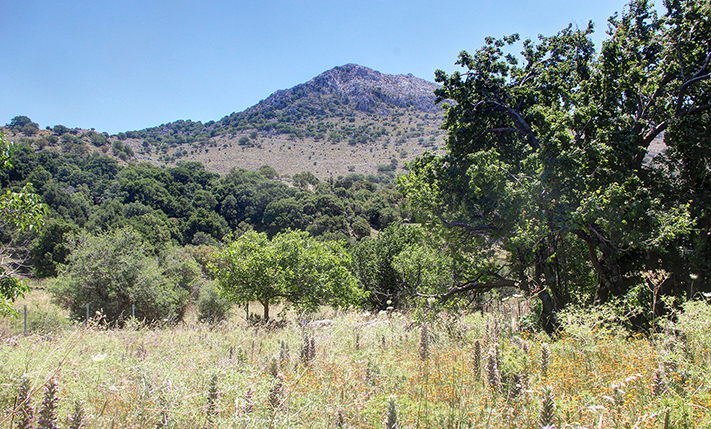 FLAT FARM LAND NEAR THE MOUNTAINS