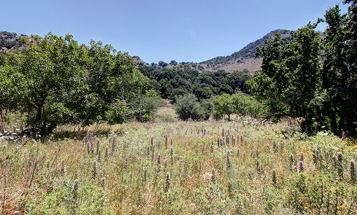 ΕΠΙΠΕΔΟ ΧΩΡΑΦΙ ΣΕ ΗΜΙΟΡΕΙΝΗ ΠΕΡΙΟΧΗ