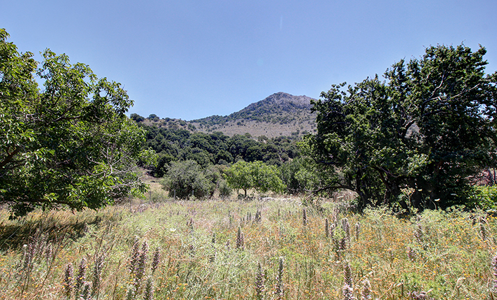 FLAT FARM LAND NEAR THE MOUNTAINS