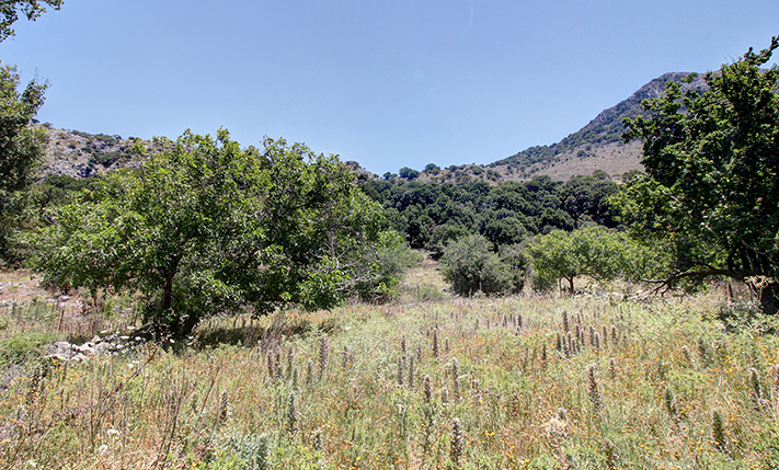 FLAT FARM LAND NEAR THE MOUNTAINS