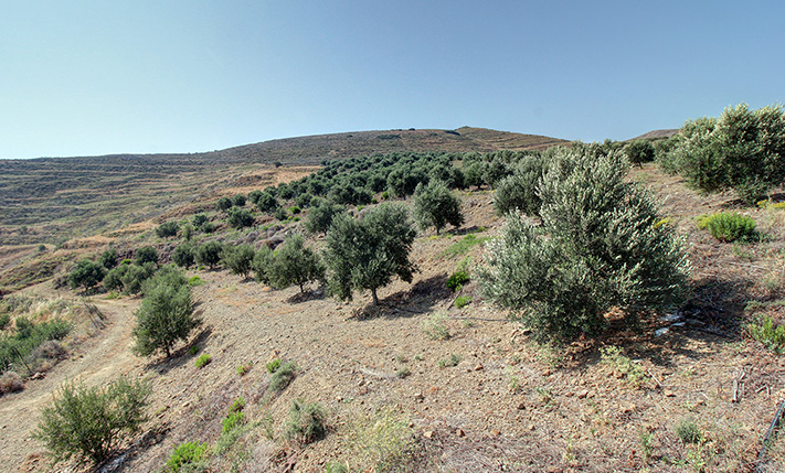 A HILLTOP WITH EXCEPTIONAL DEVELOPMENT VALUE