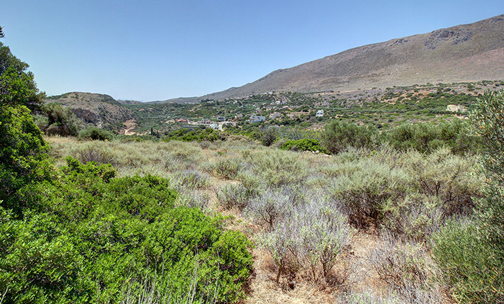WEST-FACING SLOPE NEAR AFRATA BEACH