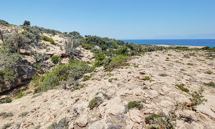 ON A STREAM WITH EASY ACCESS TO AI GIANNIS BEACH