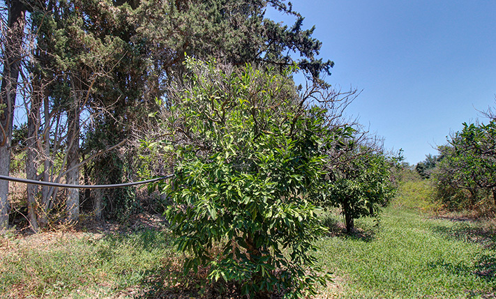 STUNNING VALLEY VIEWS TO THE SEA & MOUNTAINS