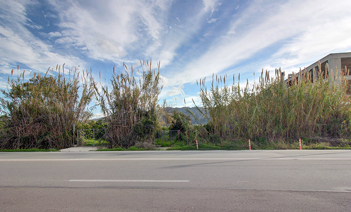ΠΑΡΑΓΩΓΙΚΑ GRAPEFRUIT ΜΕ ΕΥΚΟΛΗ ΠΡΟΣΒΑΣΗ