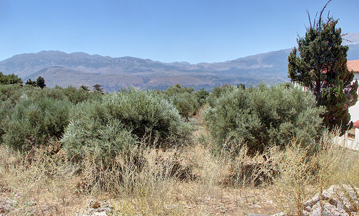 ΝΟΤΙΟΣ ΠΡΟΣΑΝΑΤΟΛΙΣΜΟΣ & ΘΕΑ ΣΤΑ ΒΟΥΝΑ