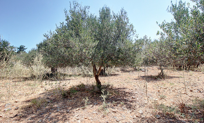 ΝΟΤΙΟΣ ΠΡΟΣΑΝΑΤΟΛΙΣΜΟΣ & ΘΕΑ ΣΤΑ ΒΟΥΝΑ