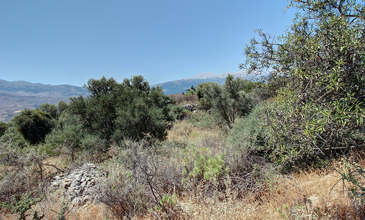 ΒΟΥΝΟ ΚΑΙ ΚΑΜΠΟΣ ΑΠΟ ΗΣΥΧΟ ΣΗΜΕΙΟ ΣΤΗ ΦΥΣΗ