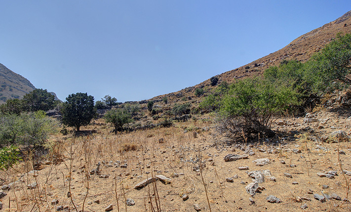 ΧΩΡΙΣΜΕΝΟ ΣΕ ΠΕΖΟΥΛΕΣ ΜΕ ΑΝΑΤΟΛΙΚΗ ΚΛΙΣΗ
