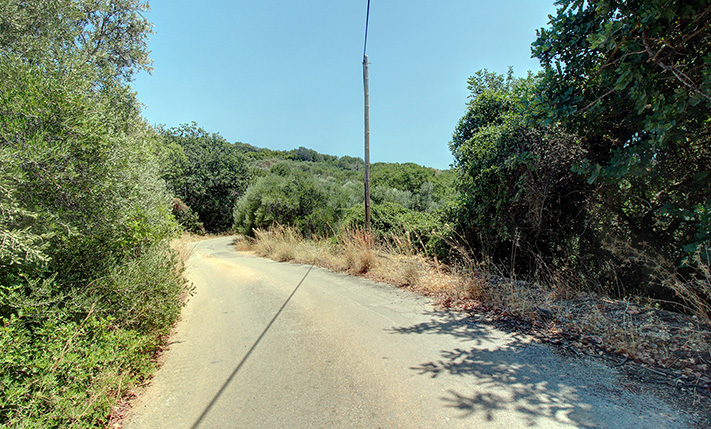 AN OLIVE GROVE WITH A BARE READY-TO-BUILD SPACE