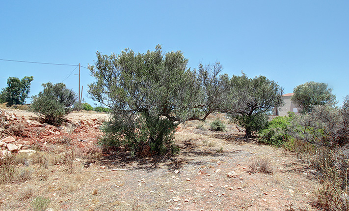 EASY ACCESS ON THE WAY TO THE AIRPORT