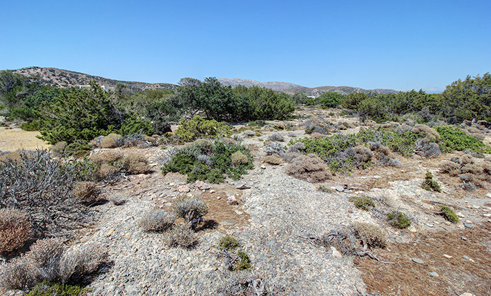 BEACHFRONT LAND WEST OF PALAIOCHORA