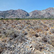 PLS2140 - image 10 PLS2140 - image 10