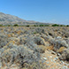 PLS2140 - image 11 PLS2140 - image 11