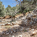 PLS2155 - image 15 PLS2155 - image 15