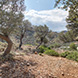 PLS2155 - image 16 PLS2155 - image 16