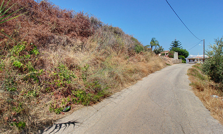 ELEVATED PLOT WITH GROUND-LEVEL SEA VIEWS