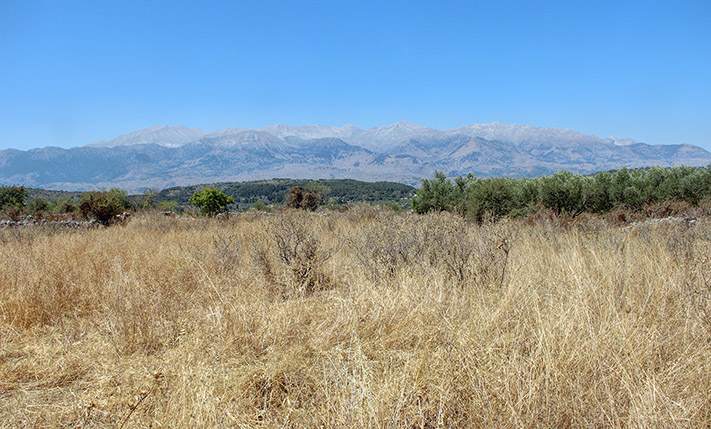 ΕΠΙΠΕΔΟ ΑΓΡΟΤΕΜΑΧΙΟ ΜΕ ΘΕΑ ΣΤΑ ΛΕΥΚΑ ΟΡΗ