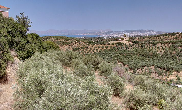 ΚΑΛΗ ΠΕΡΙΟΧΗ, ΟΜΟΡΦΗ ΘΕΑ & ΚΟΝΤΑ ΣΤΗ ΘΑΛΑΣΣΑ