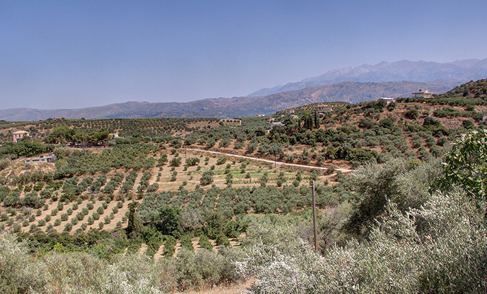 PRIME LOCATION WITH VIEWS NEAR THE BEACH