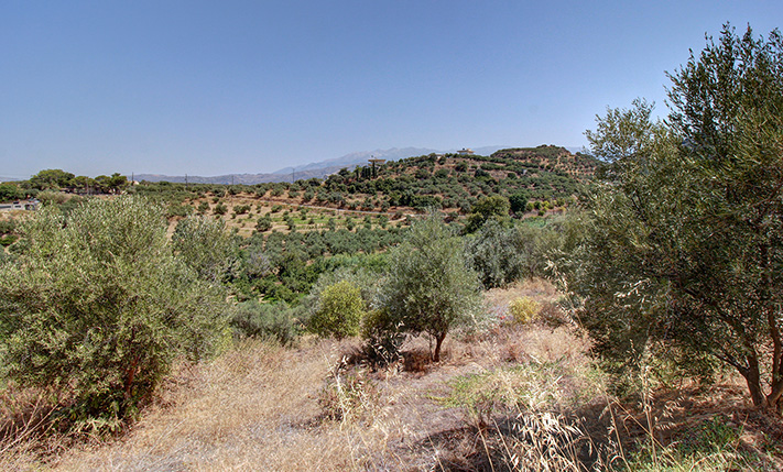 PRIME LOCATION WITH VIEWS NEAR THE BEACH