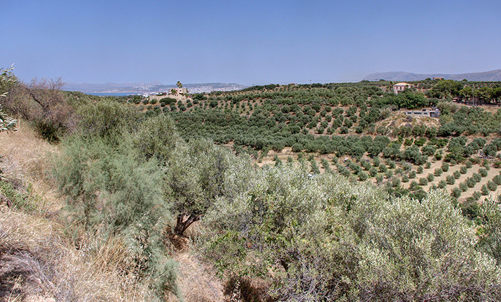 PRIME LOCATION WITH VIEWS NEAR THE BEACH