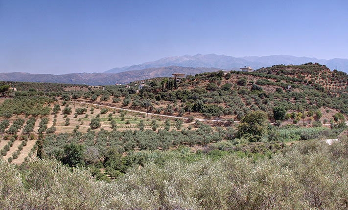 ΚΑΛΗ ΠΕΡΙΟΧΗ, ΟΜΟΡΦΗ ΘΕΑ & ΚΟΝΤΑ ΣΤΗ ΘΑΛΑΣΣΑ