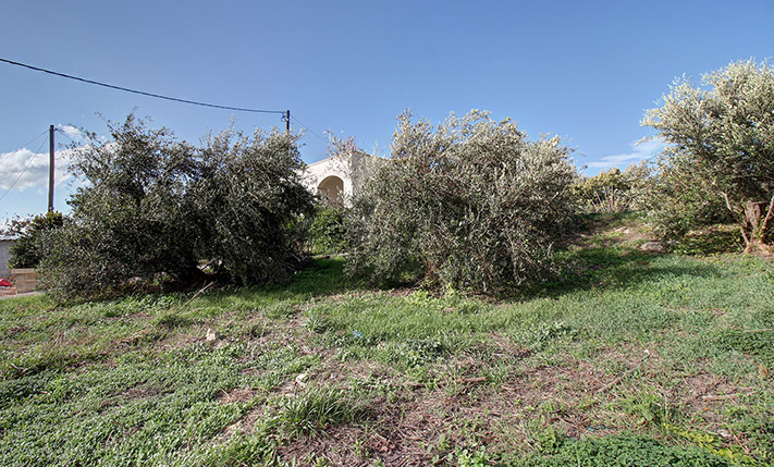 RECTANGULAR WITH AN EXCEPTIONAL ORIENTATION