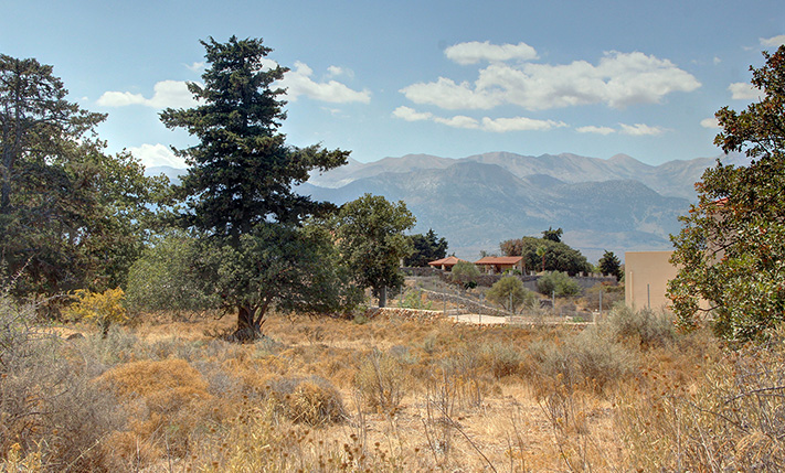 SET IN AN AREA OF WILD NATURE AND EXCLUSIVE VILLAS