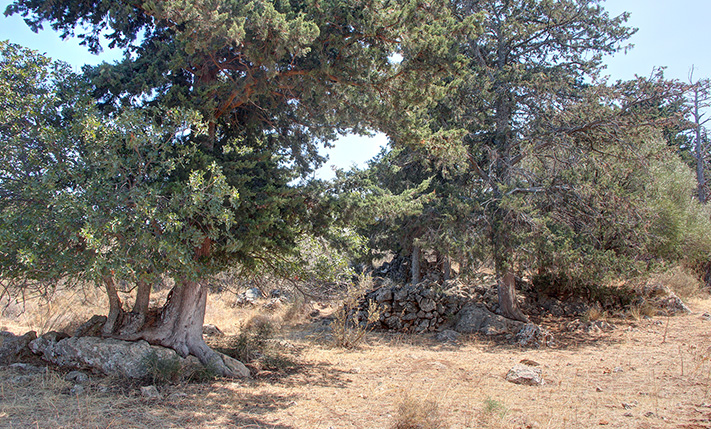 SET IN AN AREA OF WILD NATURE AND EXCLUSIVE VILLAS